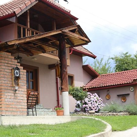 Вилла Casa Darius Новач-Стрэйни Экстерьер фото