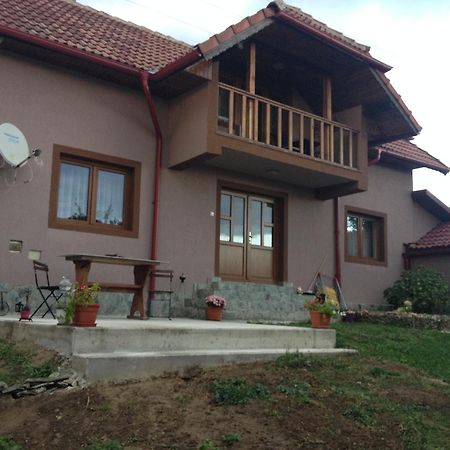 Вилла Casa Darius Новач-Стрэйни Экстерьер фото