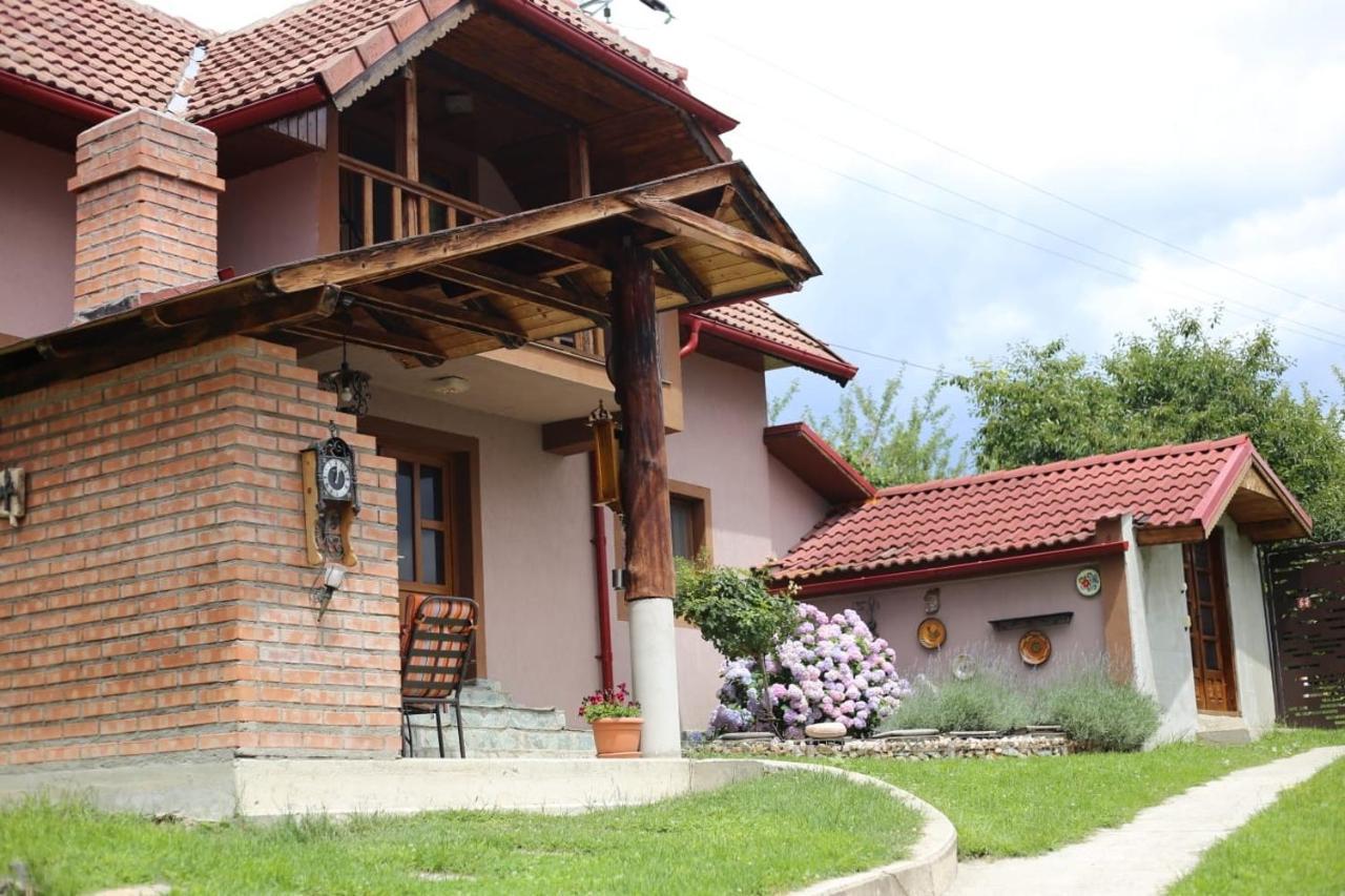 Вилла Casa Darius Новач-Стрэйни Экстерьер фото